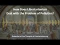 LibertarianismPollution
